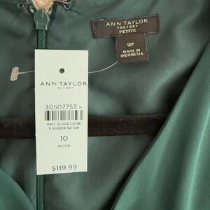 Ann Taylor Petite Forest Green Dress